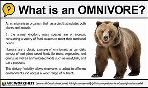 Image result for Chicken Omnivore