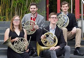 Image result for French Horn Orchestra