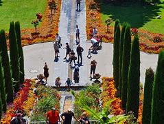 Image result for Parken Insel Mainau