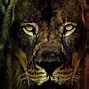 Image result for Rasta Lion with Crown Wallpaper