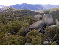 Image result for Landforms and Vegetation of Australia