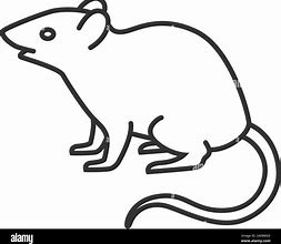 Image result for Mad Rat Outline