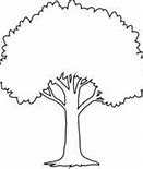 Image result for Tree Outline Graphic