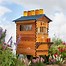 Image result for Honey Bee Hive Flow