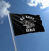 Image result for US Navy Snake Flag