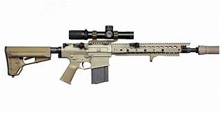 Image result for SR-25 vs M110