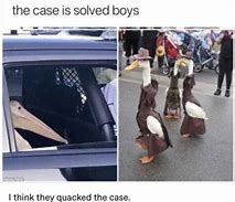 Image result for Duck Love Meme