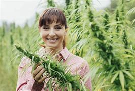 Image result for Cannabis Smoking