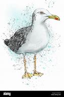 Image result for Seagull Paintings