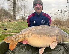 Image result for 101 Lb Carp