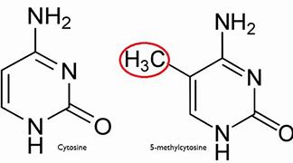 Image result for ISO Ethyl Methyl