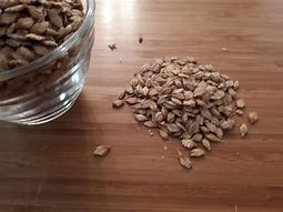 Image result for Flaked Barley