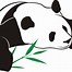 Image result for Panda Climbing