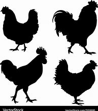 Image result for Chicken Silhouette