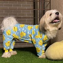 Image result for Clothes for Dogs Product