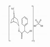 Image result for Atropine Sulphate Structure