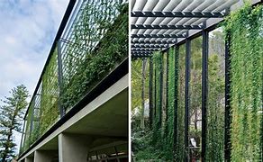 Image result for Greenscreen Trellis