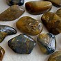 Image result for Lion Skin Crystal