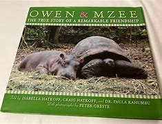 Image result for Owen and Mzee