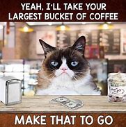 Image result for Grumpy Cat Drinking Coffee