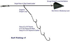 Image result for Salmon Snubber Rig