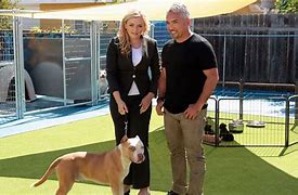 Image result for Cesar Millan Pit Bull