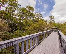 Image result for Tall Tree Lake Cypress Springs Amenities