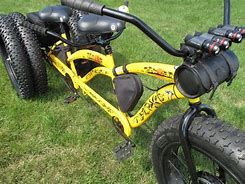 Image result for Fat Tire Trike