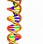 Image result for Double Helix Black and White