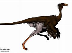 Image result for Dromiceiomimus