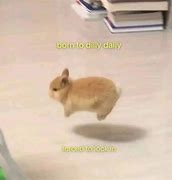 Image result for I Was Born to Dilly Dally