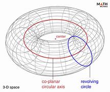 Image result for Torus in Nature