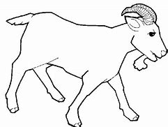 Image result for Brown N White Male Goat