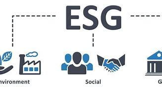 Image result for ESG Stragey Icon