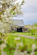 Image result for Blooming Orchards