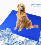 Image result for Heated Pet Mats