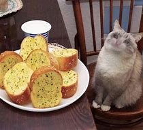 Image result for Garlic Bread Cat