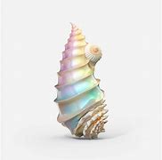 Image result for Conch Shell Ai