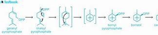 Image result for Camphor Condensed Structural Formula