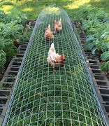 Image result for Chicken Perches for Coops