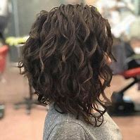 Image result for Inverted Bob's for Grey Curly Hair