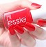 Image result for Nail Polish Brands Essie