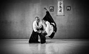 Image result for Aikido Circular Force Image