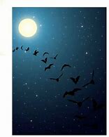 Image result for From Window Night Sky with Bats