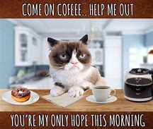 Image result for Grumpy Cat Drinking Coffee