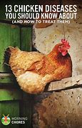 Image result for Chicken Diseases Symptoms