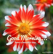 Image result for good morning images