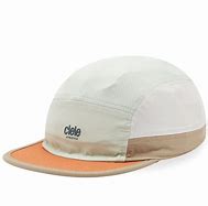 Image result for ALZ Caps