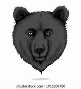 Image result for Black Bear Head White Background