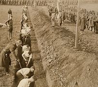 Image result for WWI Trenches Now